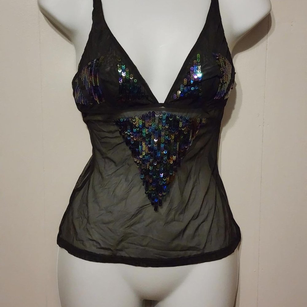 Sheer Chemise Lingerie  Nightie Sheer Black VNeck Small Body by Victoria
